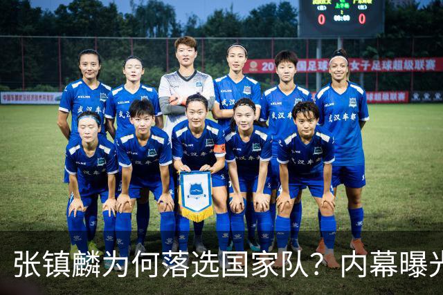 张镇麟为何落选国家队？内幕曝光，叫人心疼，郭士强并没放弃他